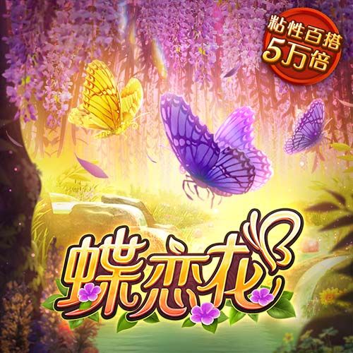 bob半岛平台官方网